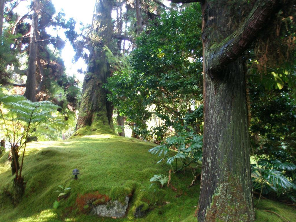 Volcano Country Cottages 외부 사진