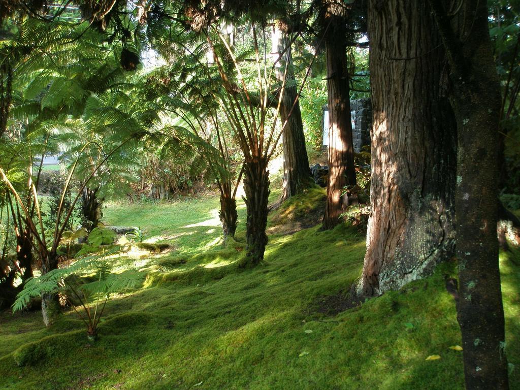 Volcano Country Cottages 외부 사진
